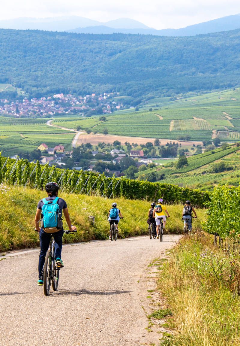 L’Orée des Vignes, tourisme et découverte autour de Pfaffenheim